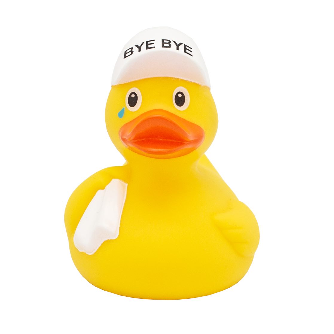 Rubber ducky filled with 'potentially pathogenic' bacteria, study says