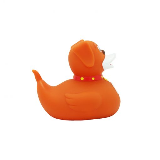 dog rubber duck