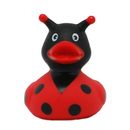 lady bug rubber duck