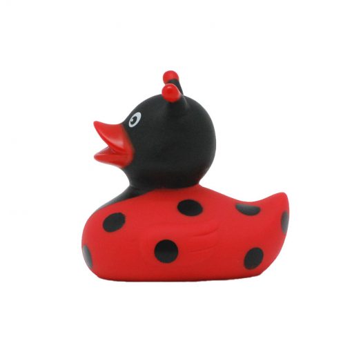 lady bug rubber duck