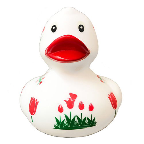 The Rubber Duck Collection - ADI01811 - South Carolina State Park Web Store