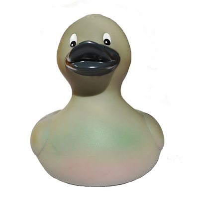 Pigeon Rubber Duck