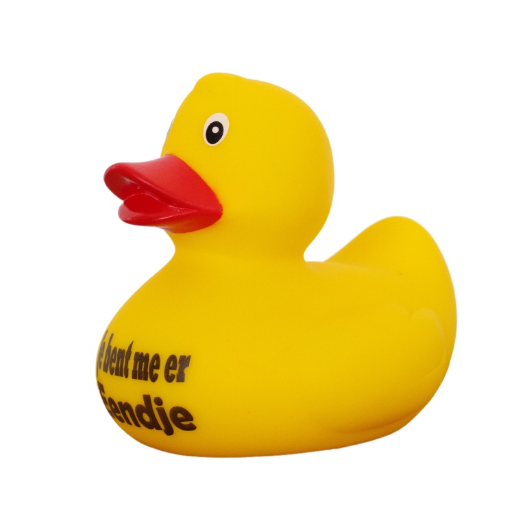 https://amsterdamduckstore.com/wp-content/uploads/2023/07/Eendje-Rubber-Duck-slant-right-Amsterdam-Duck-Store.jpg?x85050