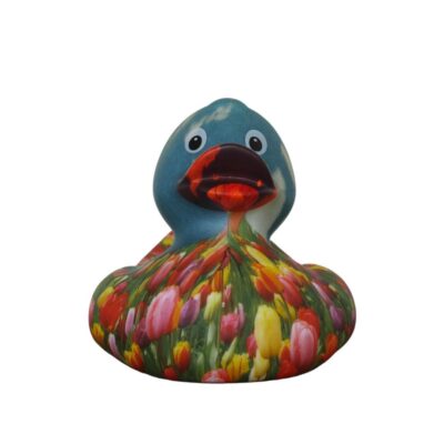 Tullo Art.041A Rubber Duck buy online