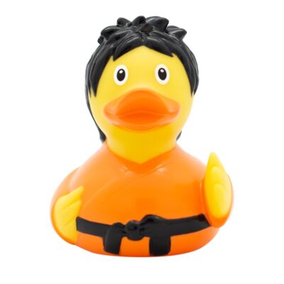 Kung Fu Rubber Duck