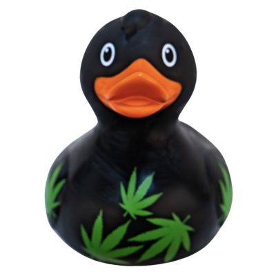 Grass Rubber Duck